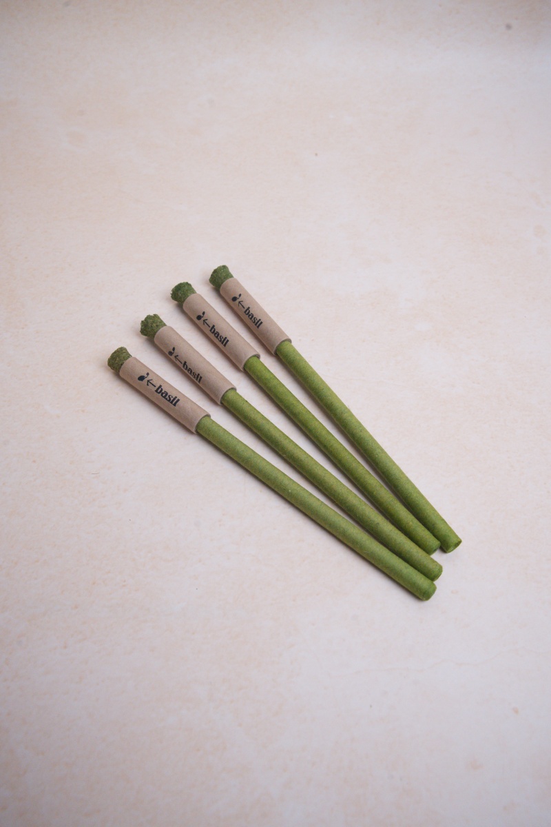 Seed Pen (Set of 10) - Image 4