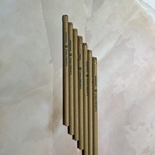 Seed_Pencil_Product_Image