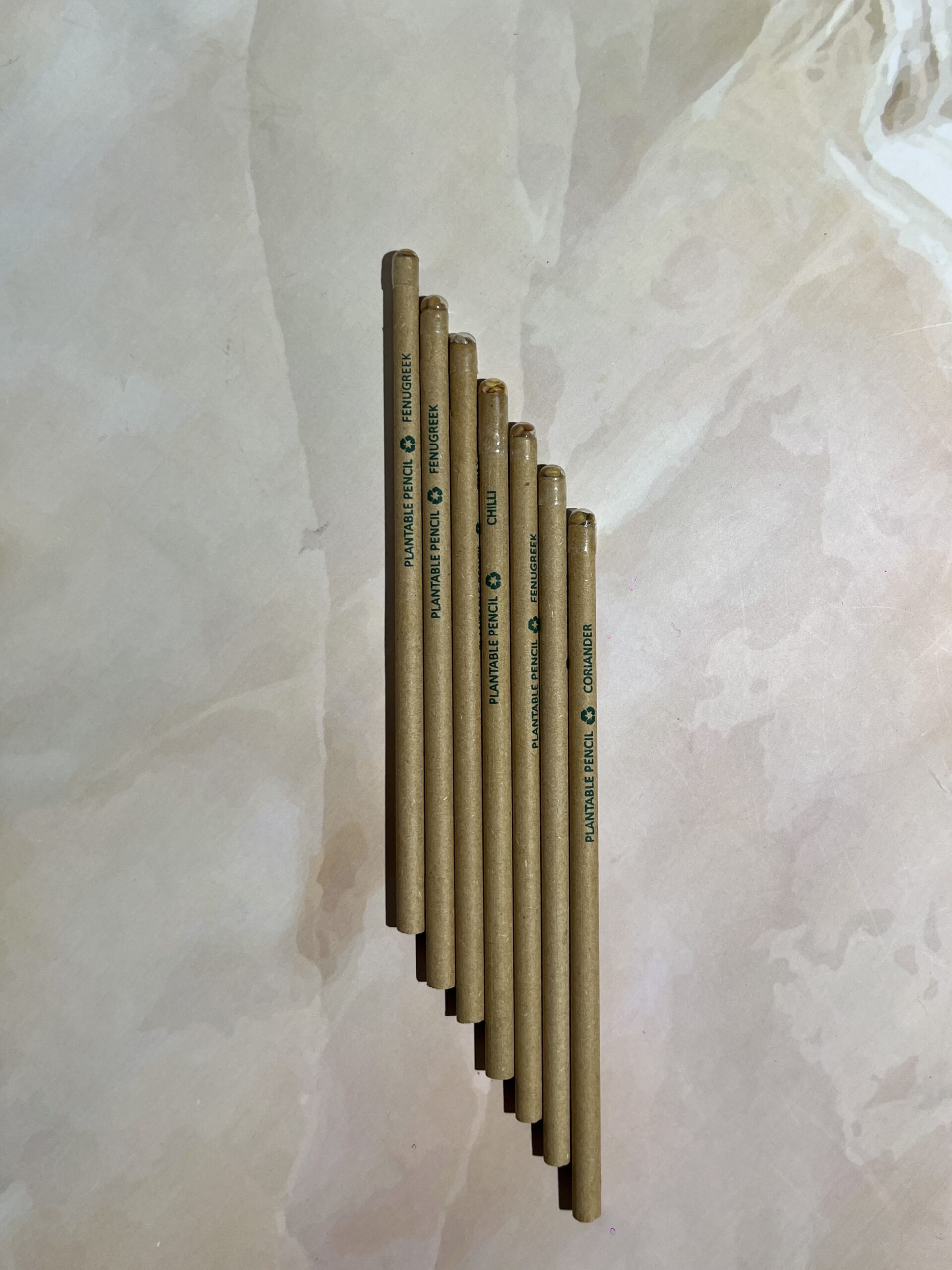 Seed Pencil (Set of 10 )